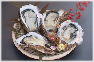 �u�����h�₪���u�I��p�������₪���v�t���R�[�X